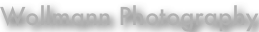 shapeimage_2_link_0