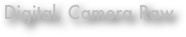 Digital, Camera Raw