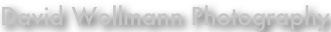 shapeimage_1_link_0